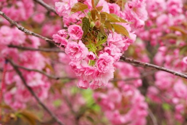 杭州萧山区线下个人借款平台一站式服务，轻松解决资金难题
