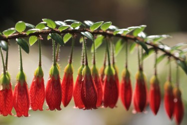杭州萧山区零用贷短借：轻松解决临时资金需求