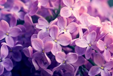 杭州萧山区企业急用钱贷款攻略：快速融资解燃眉之急